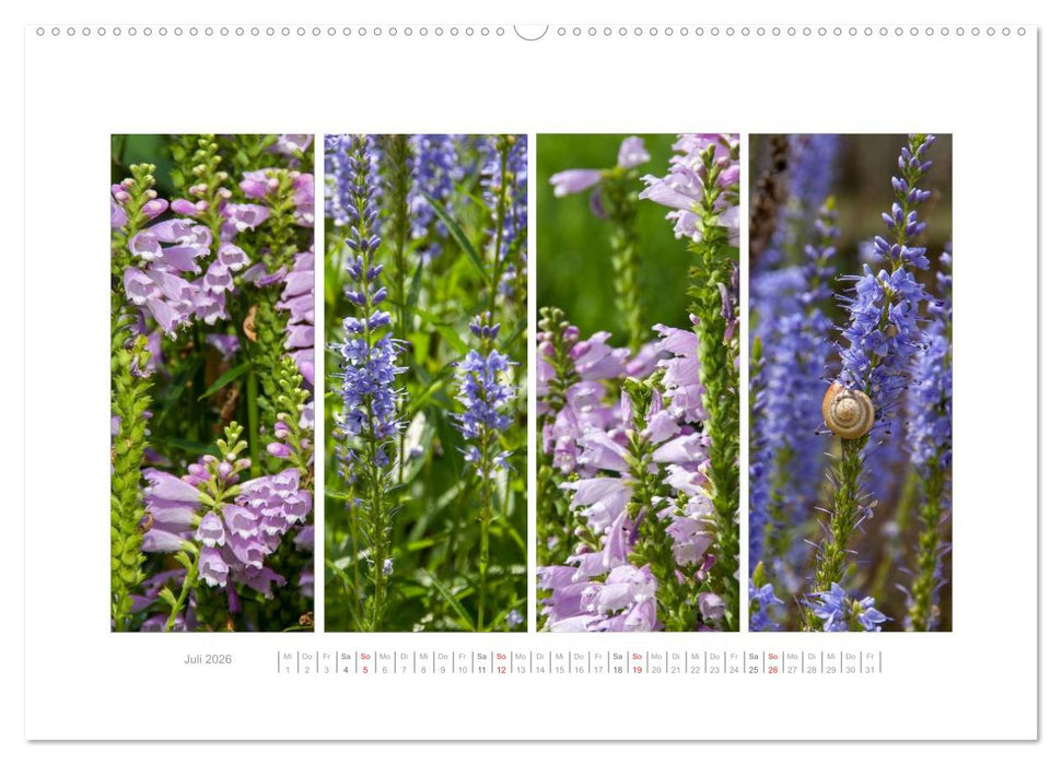 Gartenfreude (CALVENDO Premium Wandkalender 2026)