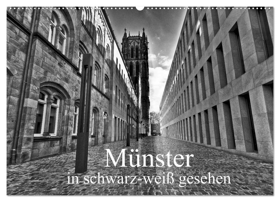 Münster in schwarz-weiß gesehen (CALVENDO Wandkalender 2026)