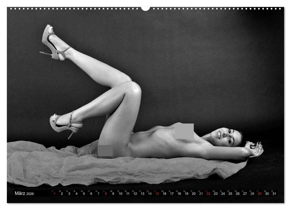 Akt Studien (CALVENDO Wandkalender 2026)