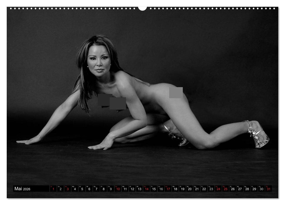 Akt Studien (CALVENDO Wandkalender 2026)