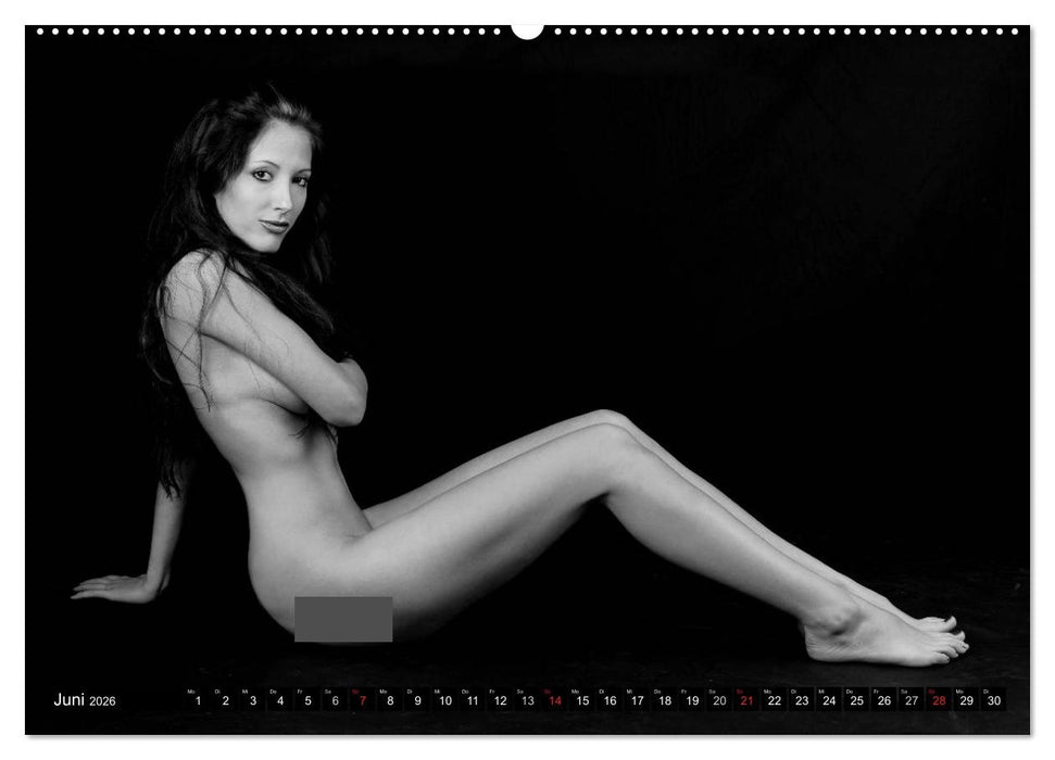 Akt Studien (CALVENDO Wandkalender 2026)