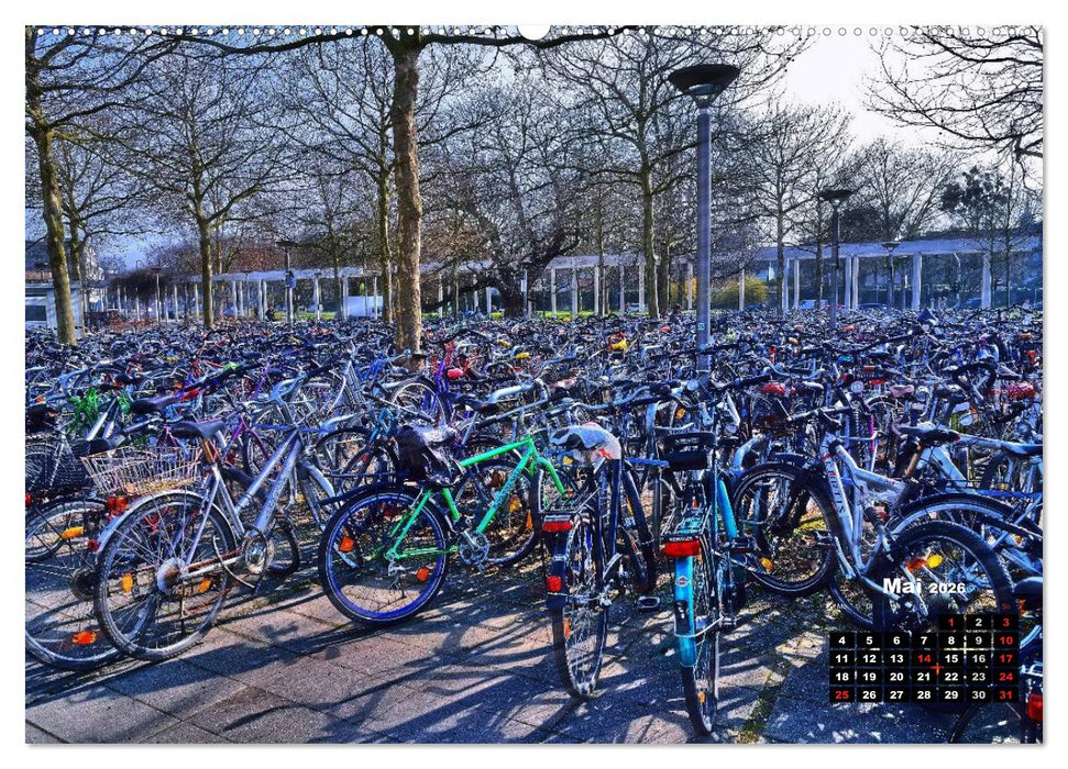 Göttingen - Inside (CALVENDO Premium Wandkalender 2026)