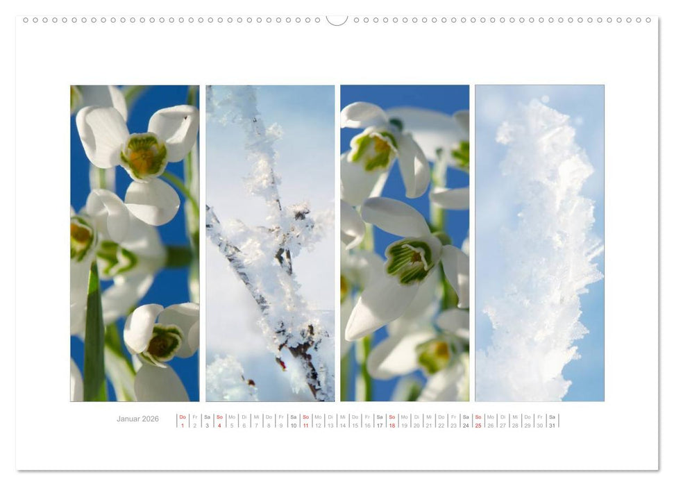 Gartenfreude (CALVENDO Wandkalender 2026)