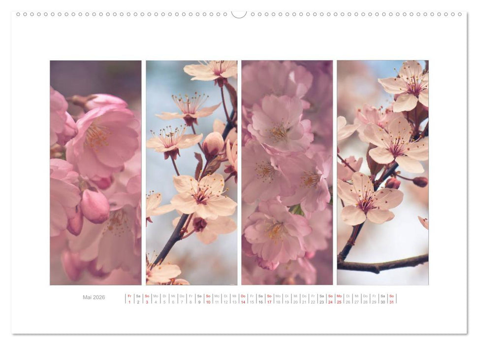 Gartenfreude (CALVENDO Wandkalender 2026)