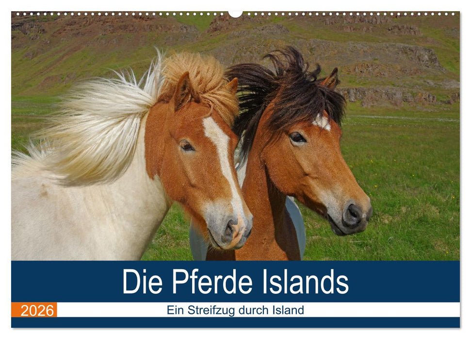 Die Pferde Islands - Ein Streifzug durch Island (CALVENDO Wandkalender 2026)