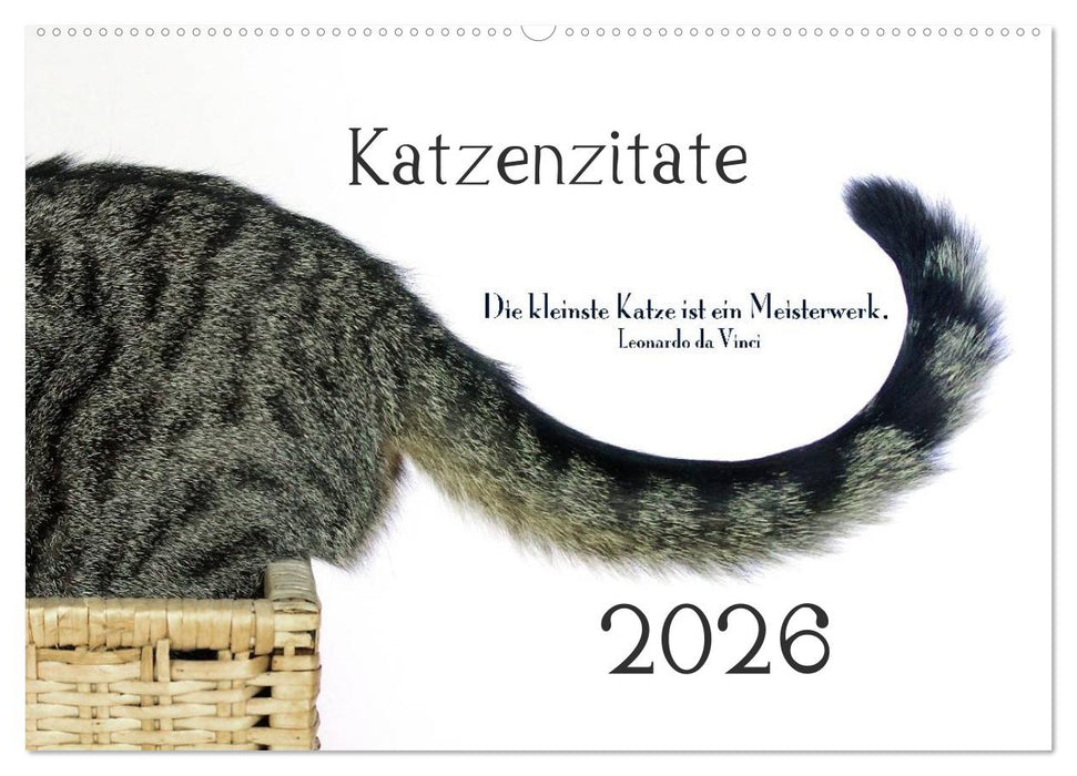 Katzenzitate 2026 (CALVENDO Wandkalender 2026)