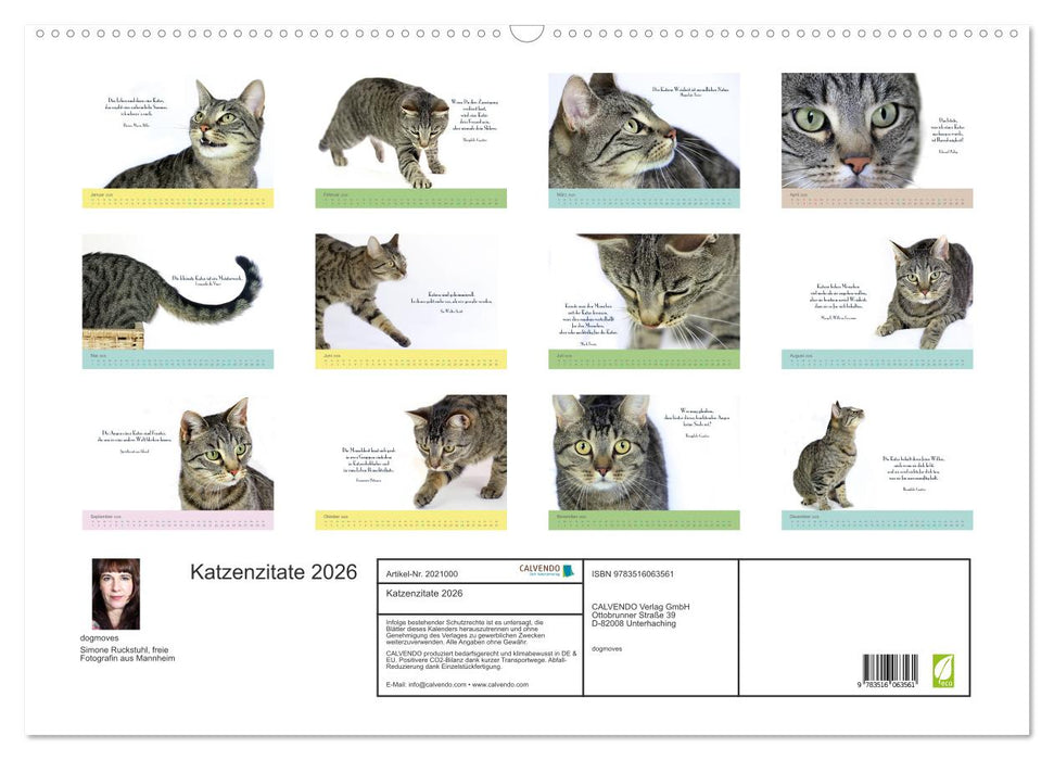 Katzenzitate 2026 (CALVENDO Wandkalender 2026)