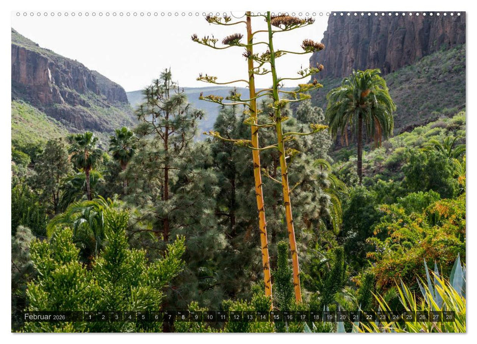 Grandioses Canaria (CALVENDO Premium Wandkalender 2026)