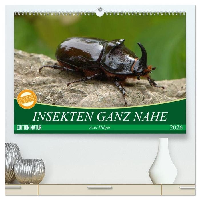 INSEKTEN GANZ NAHE (CALVENDO Premium Wandkalender 2026)