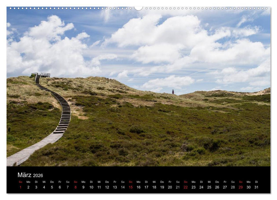 Amrumer Impressionen (CALVENDO Wandkalender 2026)
