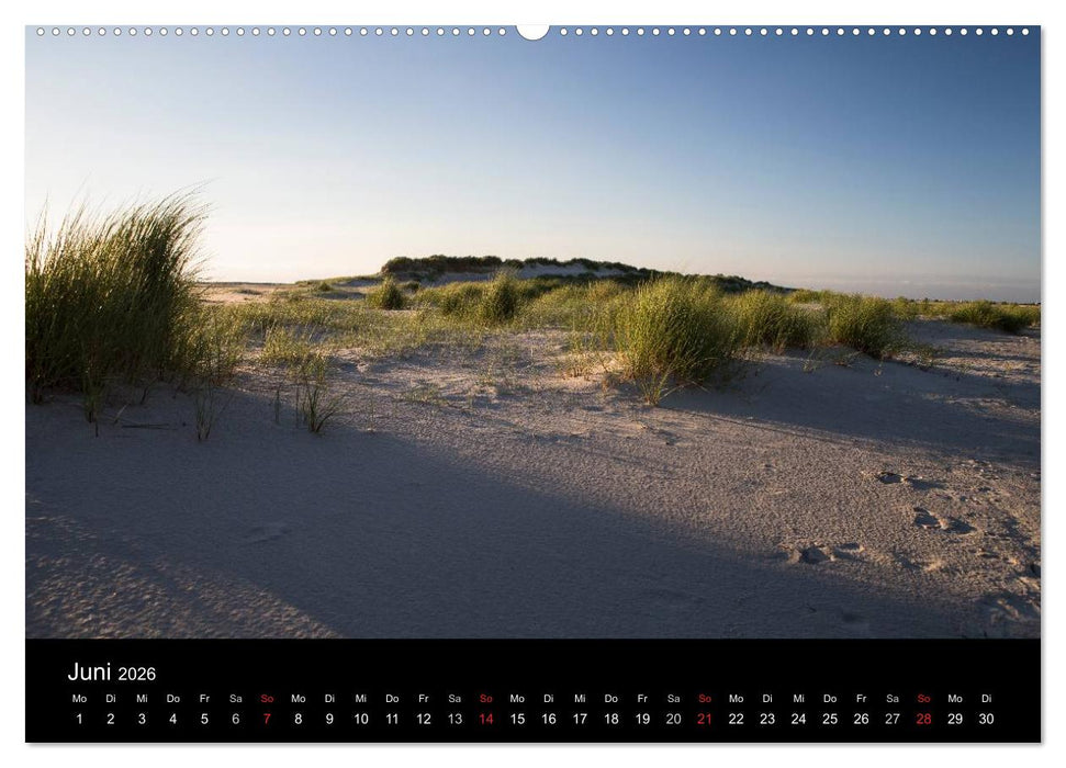 Amrumer Impressionen (CALVENDO Wandkalender 2026)