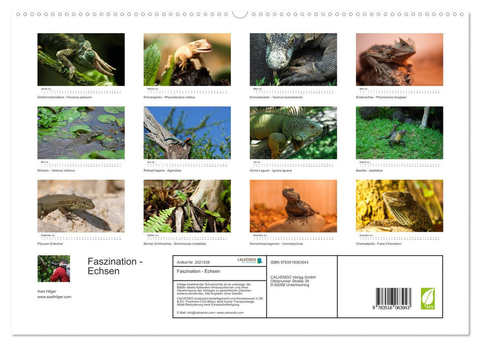 Faszination - Echsen (CALVENDO Premium Wandkalender 2026)