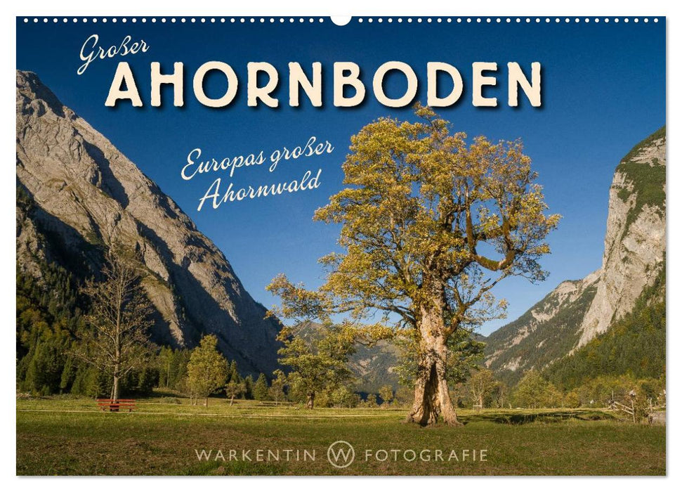 Großer Ahornboden - Europas großer Ahornwald (CALVENDO Wandkalender 2026)