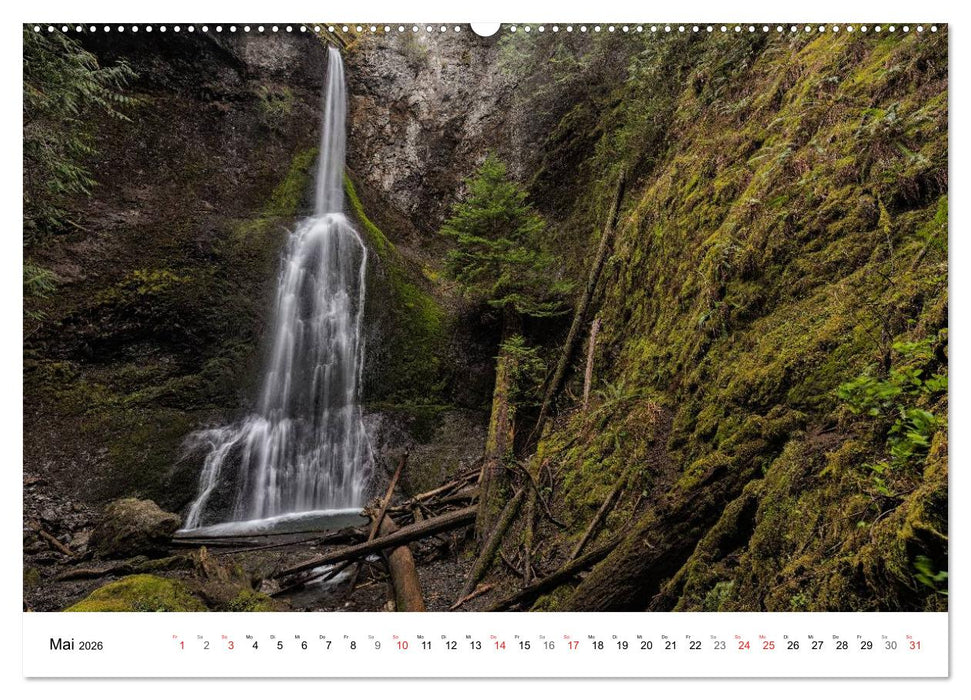The Olympic National Park - Washington USA (CALVENDO Wandkalender 2026)