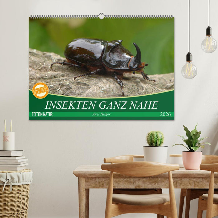 INSEKTEN GANZ NAHE (CALVENDO Wandkalender 2026)