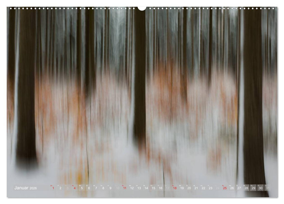 Atelier Wald - gemalt mit Licht (CALVENDO Wandkalender 2026)
