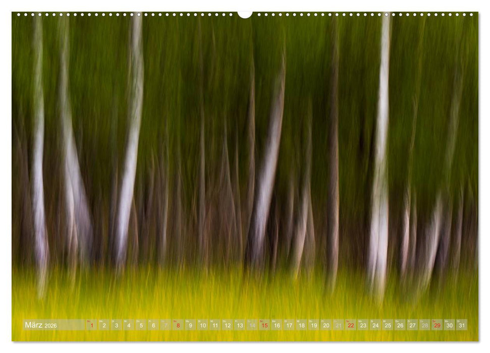 Atelier Wald - gemalt mit Licht (CALVENDO Wandkalender 2026)