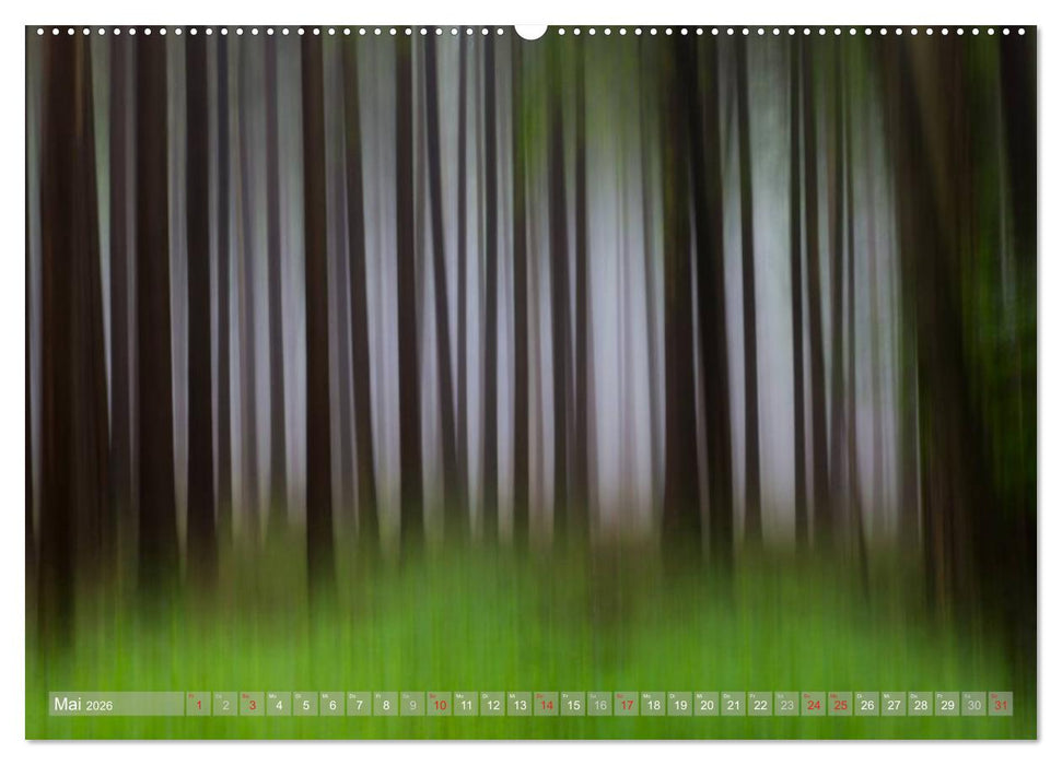 Atelier Wald - gemalt mit Licht (CALVENDO Wandkalender 2026)