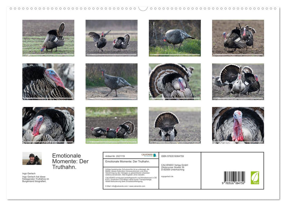 Emotionale Momente: Der Truthahn. (CALVENDO Premium Wandkalender 2026)