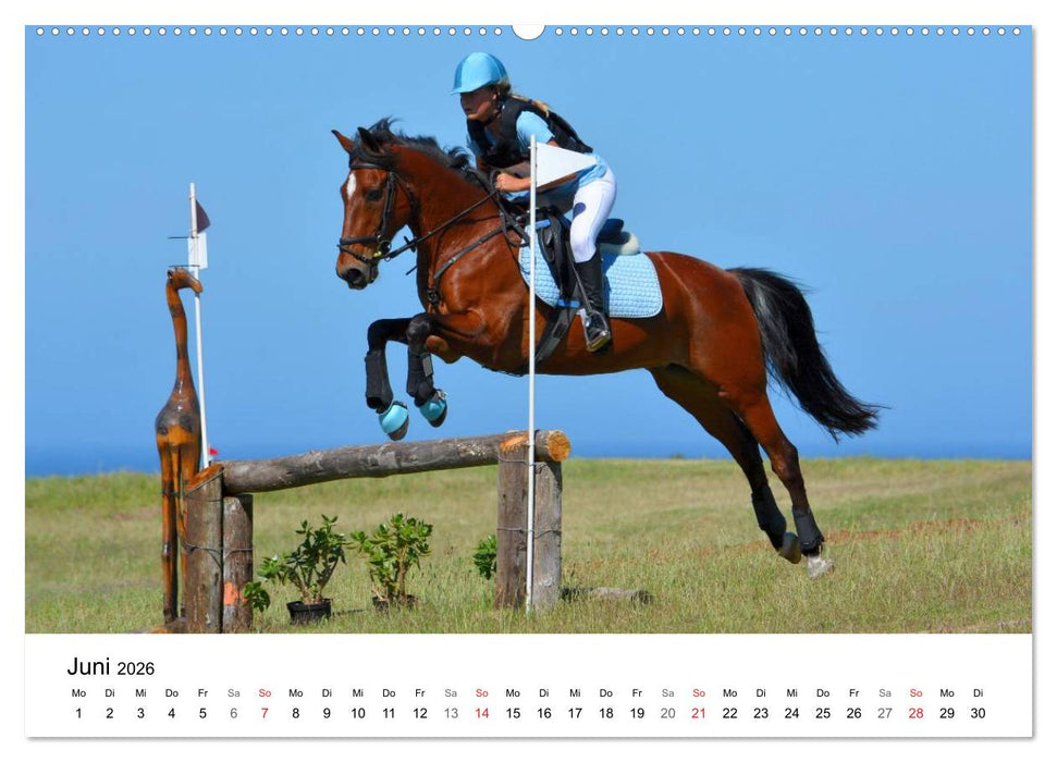 Eventing - Der ultimative Reitsport (CALVENDO Premium Wandkalender 2026)