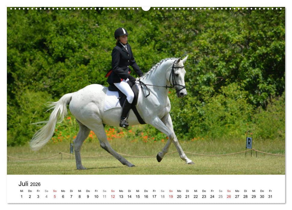 Eventing - Der ultimative Reitsport (CALVENDO Premium Wandkalender 2026)