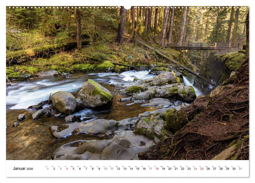 The Olympic National Park - Washington USA (CALVENDO Premium Wandkalender 2026)
