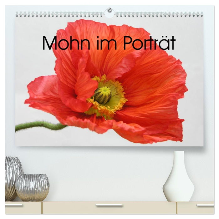 Mohn im Porträt (CALVENDO Premium Wandkalender 2026)