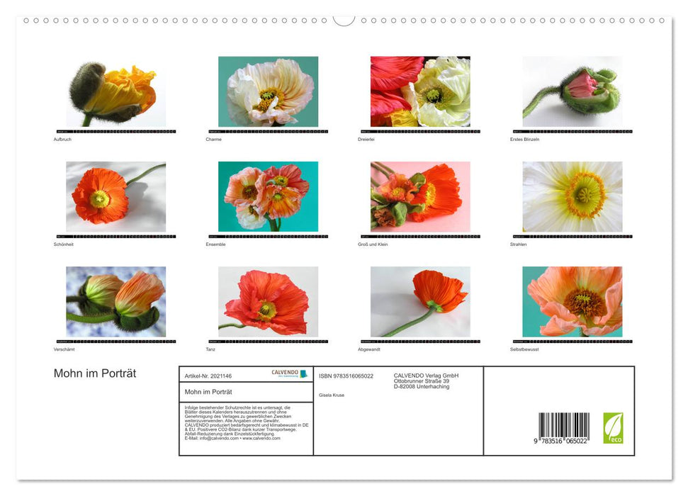 Mohn im Porträt (CALVENDO Premium Wandkalender 2026)