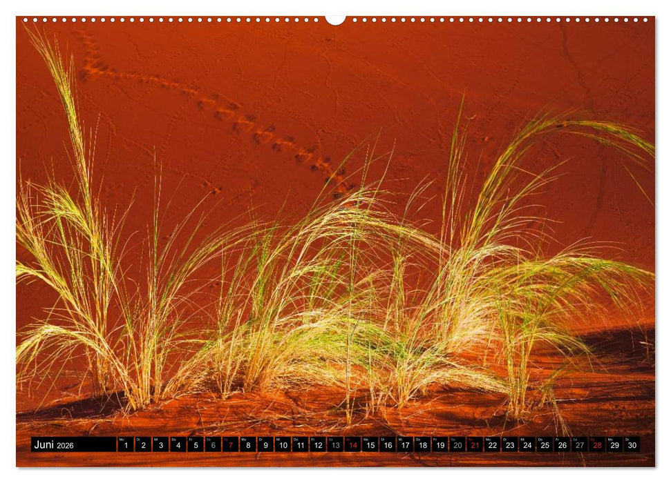 Namib Naukluft Nationalpark. NAMIBIA 2026 (CALVENDO Premium Wandkalender 2026)