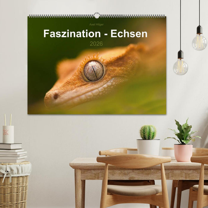 Faszination - Echsen (CALVENDO Wandkalender 2026)