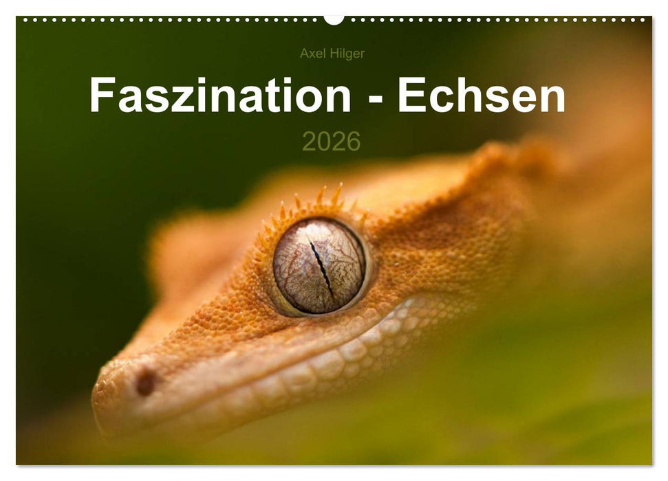 Faszination - Echsen (CALVENDO Wandkalender 2026)