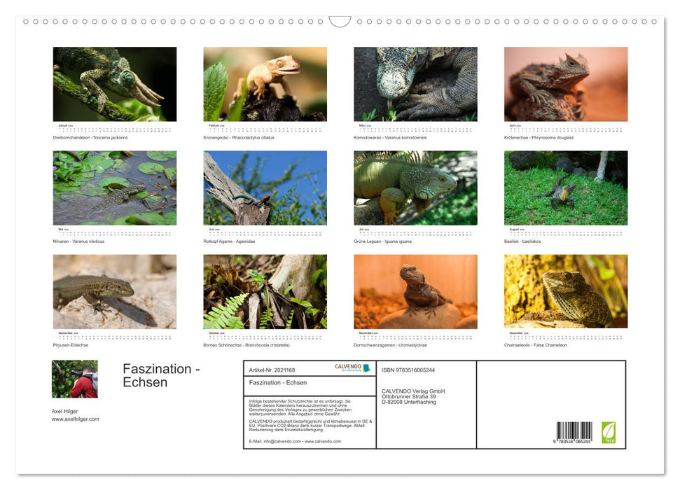 Faszination - Echsen (CALVENDO Wandkalender 2026)