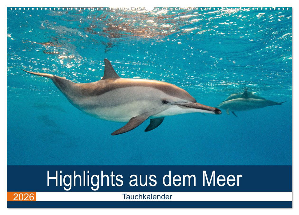 Highlights aus dem Meer - Tauchkalender (CALVENDO Wandkalender 2026)
