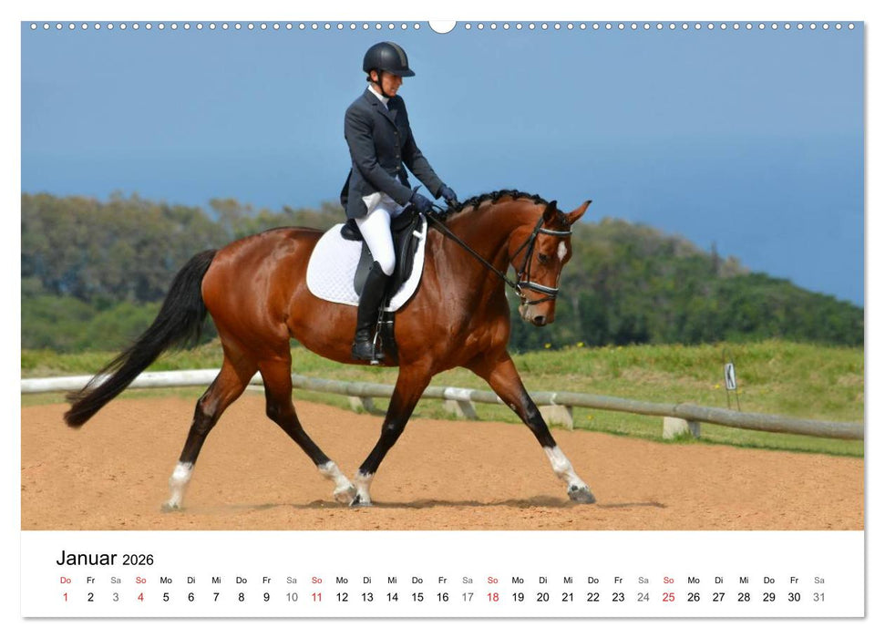 Vielseitigkeitsreiten (CALVENDO Premium Wandkalender 2026)