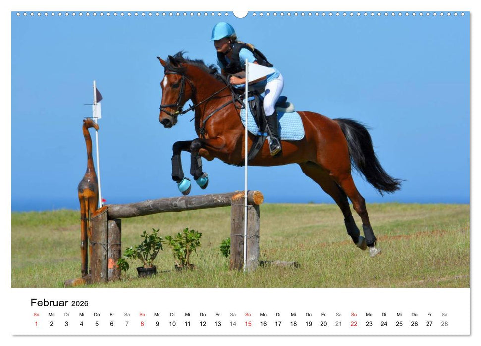 Vielseitigkeitsreiten (CALVENDO Premium Wandkalender 2026)