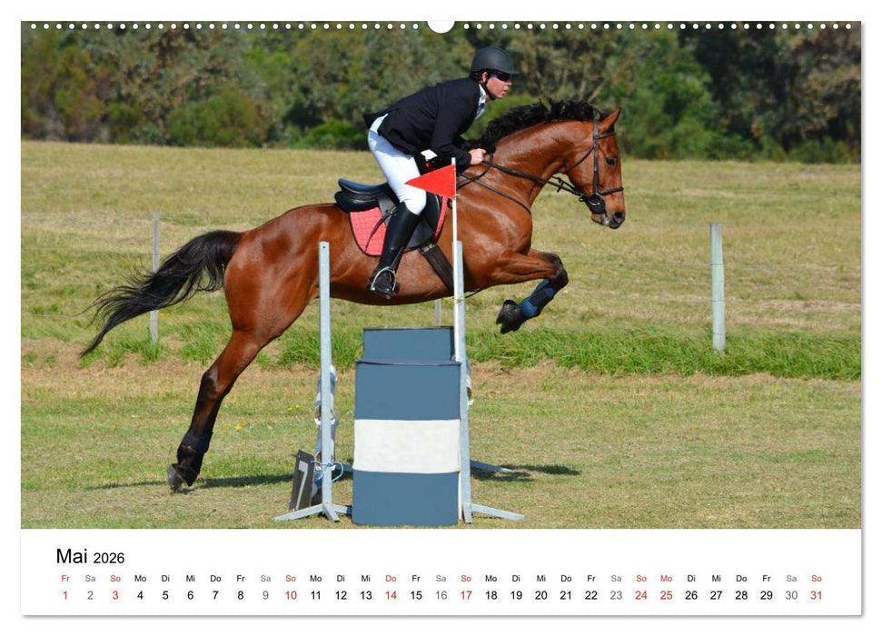 Vielseitigkeitsreiten (CALVENDO Premium Wandkalender 2026)