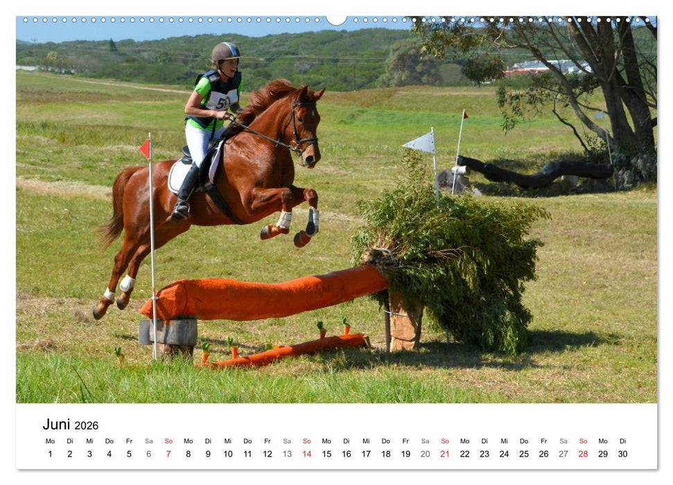 Vielseitigkeitsreiten (CALVENDO Premium Wandkalender 2026)