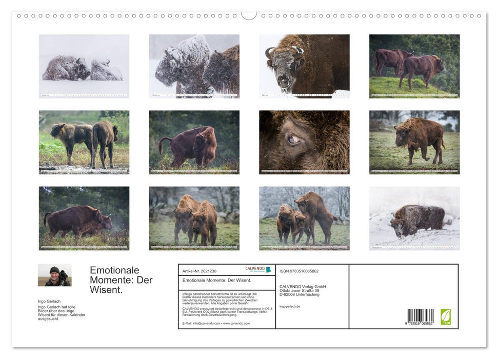 Emotionale Momente: Der Wisent. (CALVENDO Wandkalender 2026)