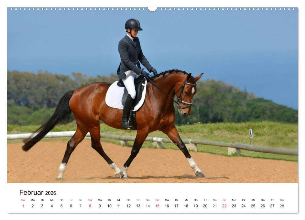 Eventing - Der ultimative Reitsport (CALVENDO Wandkalender 2026)