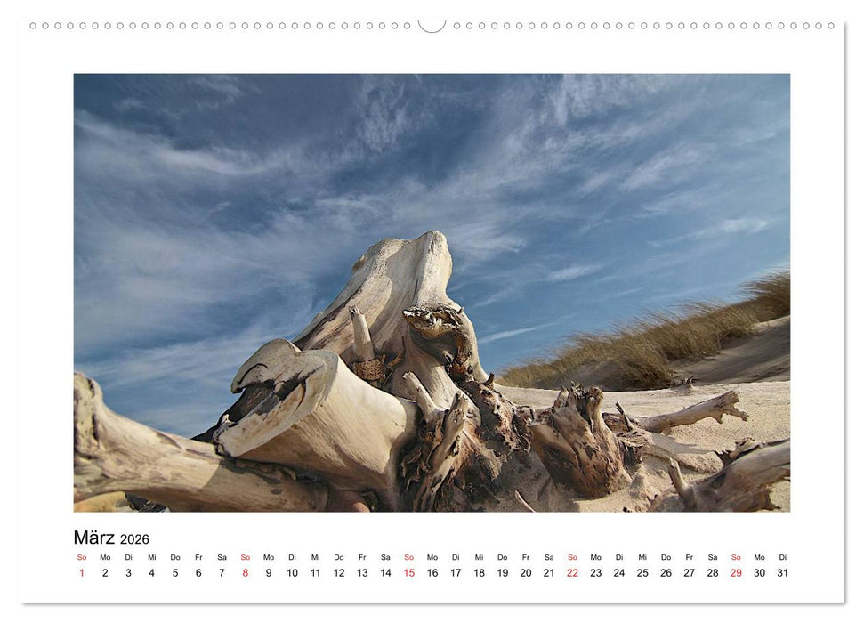 Sylt - Tage am Meer (CALVENDO Wandkalender 2026)