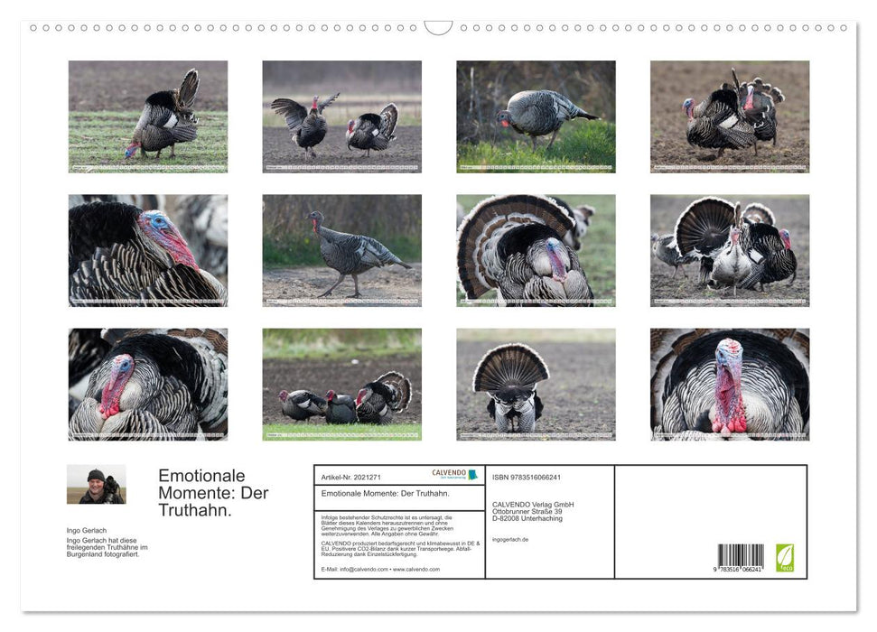 Emotionale Momente: Der Truthahn. (CALVENDO Wandkalender 2026)