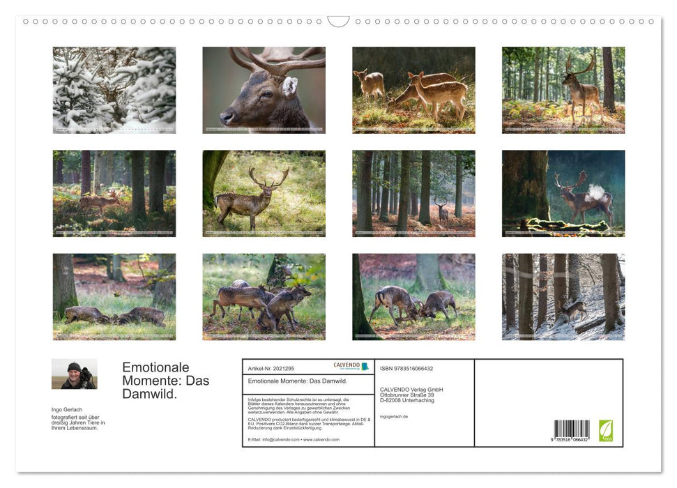 Emotionale Momente: Das Damwild. (CALVENDO Wandkalender 2026)