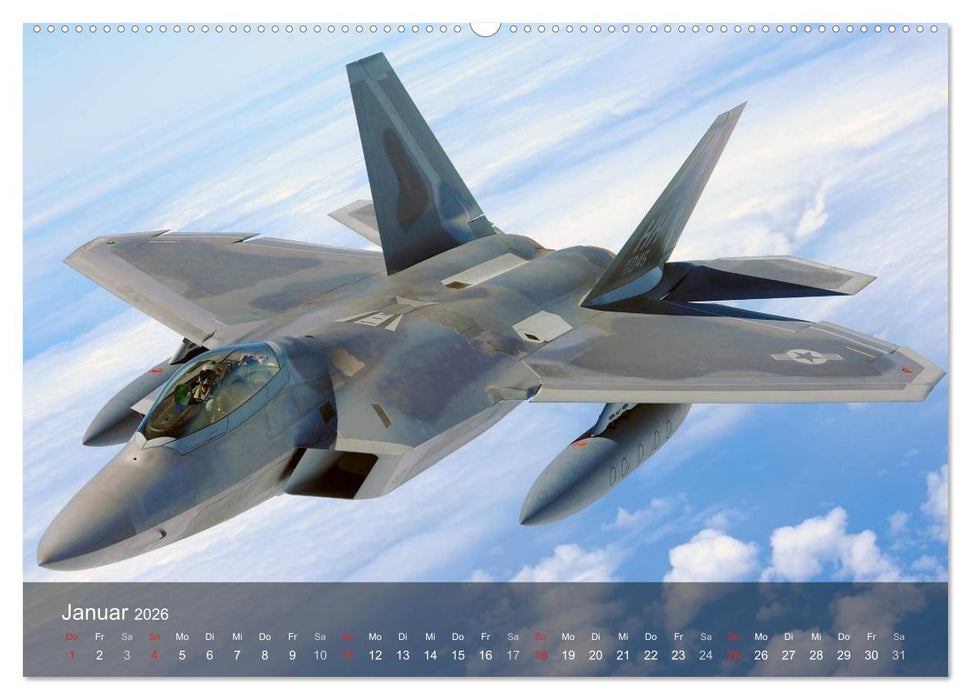 Luftwaffe. Kampfflugzeuge der USA (CALVENDO Premium Wandkalender 2026)