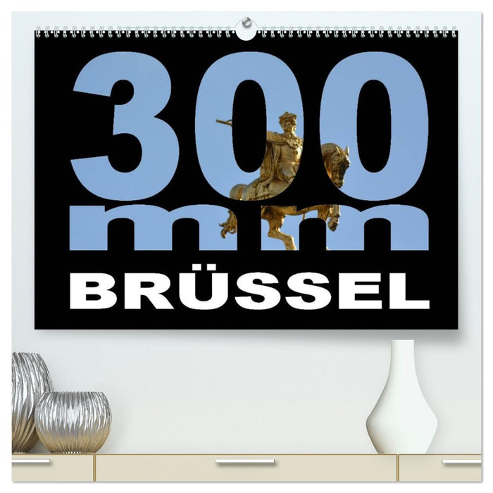 300mm - Brüssel (CALVENDO Premium Wandkalender 2026)
