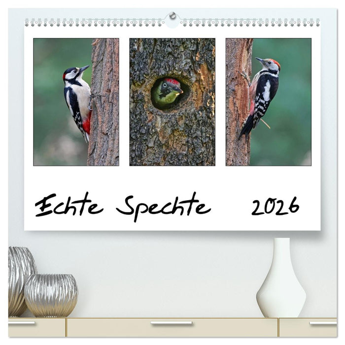 Echte Spechte (CALVENDO Premium Wandkalender 2026)