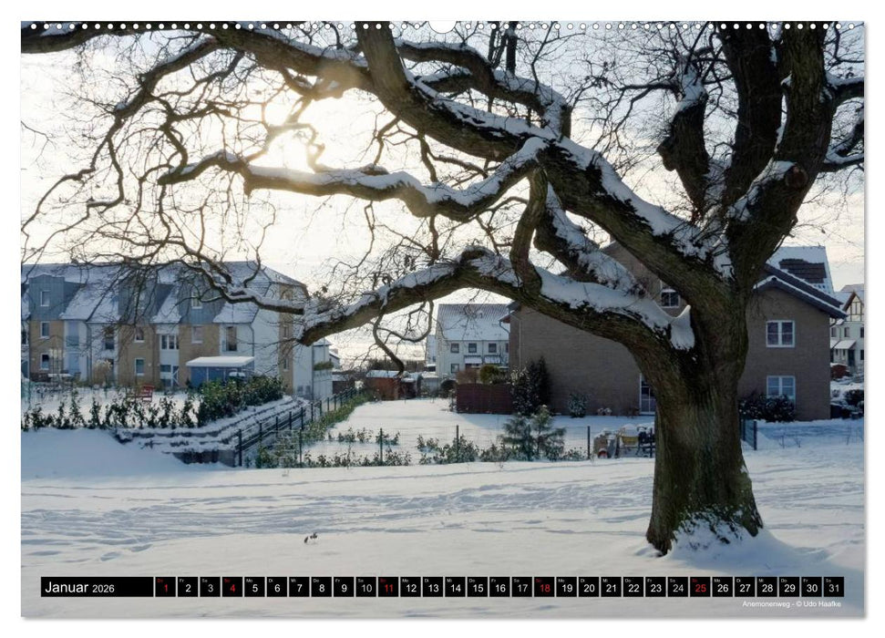 Wülfrather Bilderbogen 2026 (CALVENDO Premium Wandkalender 2026)
