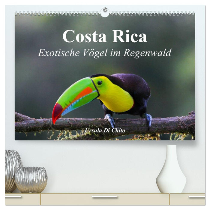 Costa Rica - Exotische Vögel im Regenwald (CALVENDO Premium Wandkalender 2026)