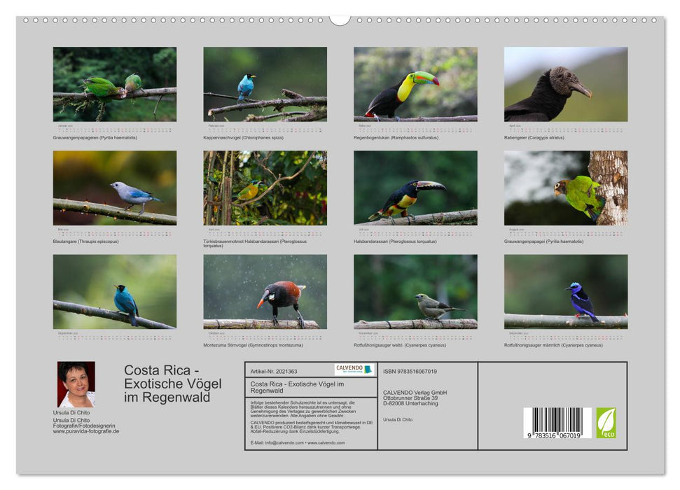 Costa Rica - Exotische Vögel im Regenwald (CALVENDO Premium Wandkalender 2026)