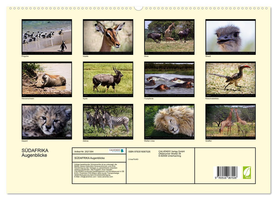 SÜDAFRIKA Augenblicke (CALVENDO Premium Wandkalender 2026)