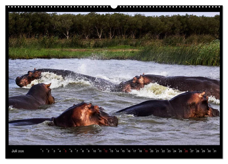 SÜDAFRIKA Augenblicke (CALVENDO Premium Wandkalender 2026)